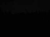 20 : 10