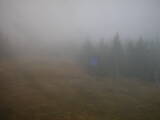 14 : 46