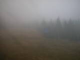 15 : 50