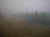 16 : 34