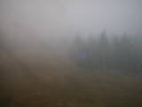 16 : 42