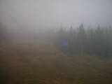 16 : 50