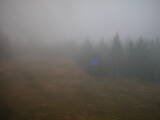 17 : 14