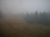 17 : 22