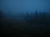 19 : 14