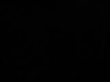 19 : 58