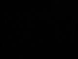 20 : 02