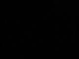 20 : 06