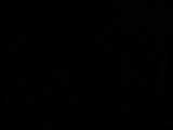 20 : 10