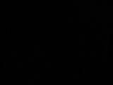 20 : 30