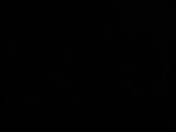 20 : 42