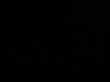 20 : 46