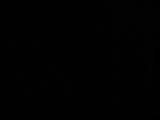20 : 50