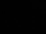 20 : 54