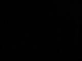 21 : 22