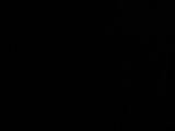 21 : 30