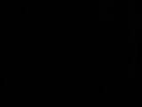 21 : 46