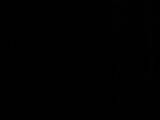 21 : 54