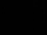 22 : 06