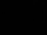 23 : 06