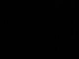 23 : 30