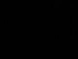 23 : 50
