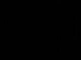 04 : 22