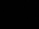 04 : 34