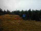 15 : 50