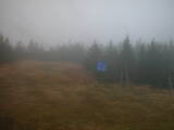 16 : 38