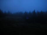 19 : 14