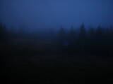 19 : 18