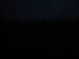 19 : 42