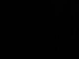 20 : 02