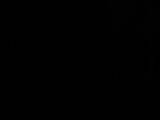 20 : 30