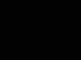 21 : 06