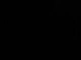 21 : 30