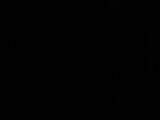 21 : 38
