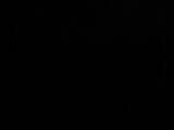 21 : 46