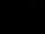 23 : 30