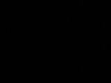 02 : 06