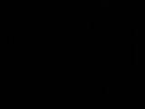 04 : 02