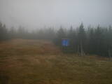 14 : 06