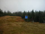 15 : 30