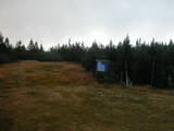 16 : 50