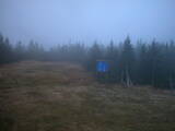 17 : 50