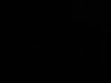 20 : 02