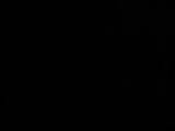 20 : 46