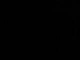 02 : 46