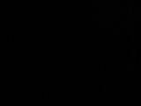 03 : 06
